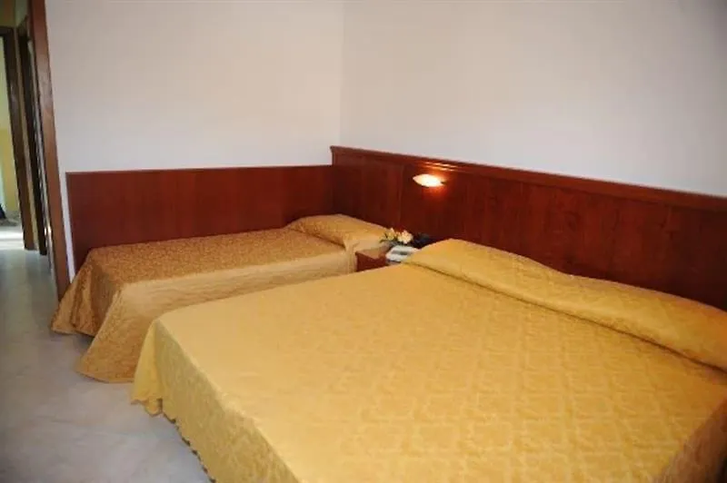 Grifone Hotel Perugia 3*,