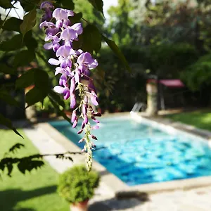 Park Palace Hotel Florenz
